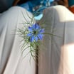Photo de Audrey GRONNIER, Naturopathe