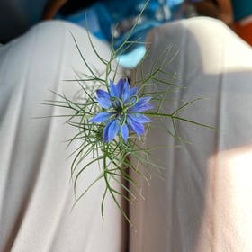 Photo de Audrey GRONNIER - Naturopathe à Bourbriac sur Holitime